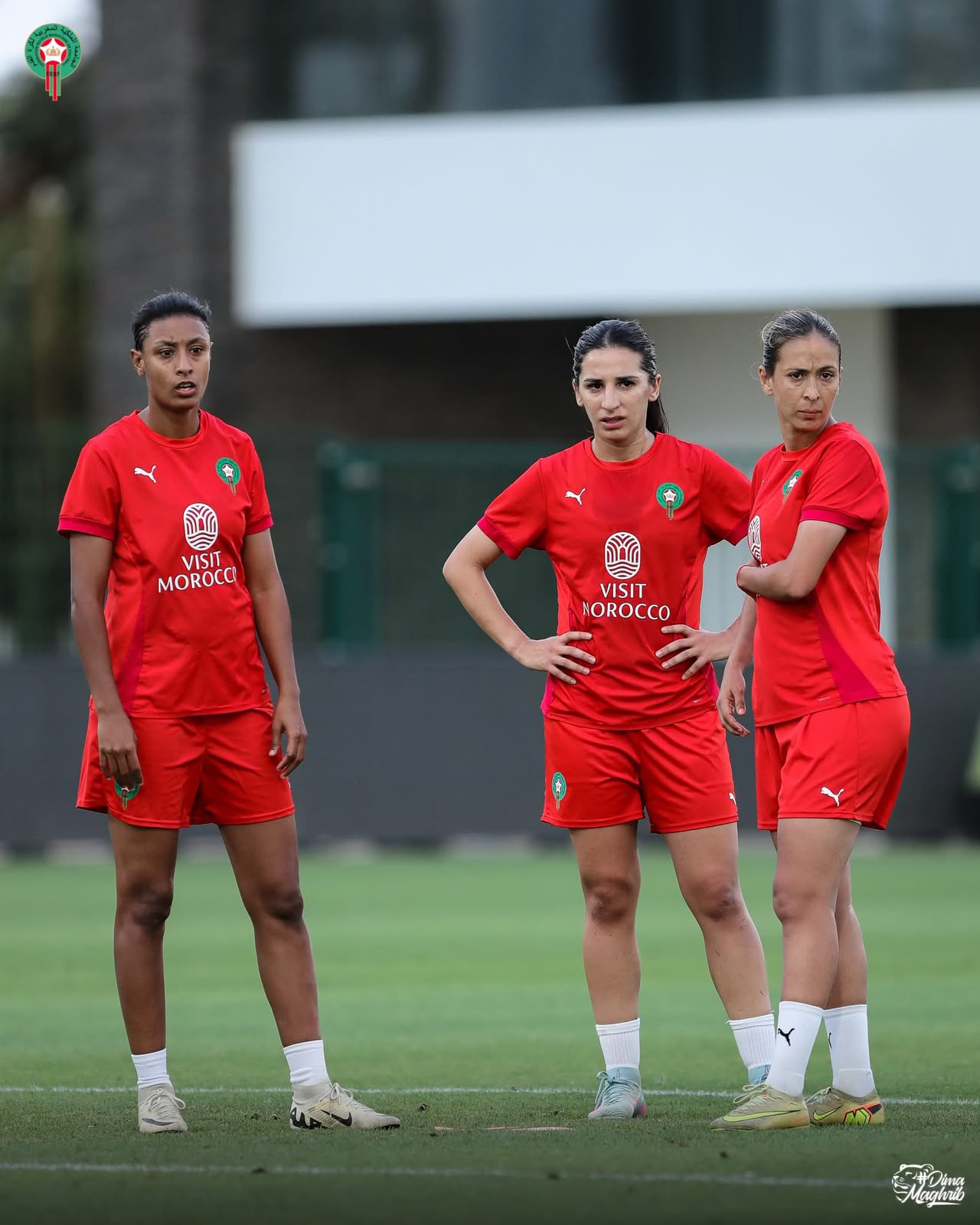 خورخي فيلدا: انتقاء قائمة كأس أمم إفريقيا جاء بعد تقييم شامل طوال الموسم