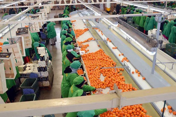 بالأرقام: استمرار ارتفاع أسعار الأغذية والملابس رغم تباطؤ التضخم