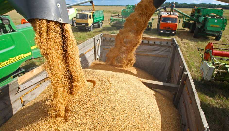 المغرب يخفض دعم استيراد القمح اللين بـ 52.4% في ظل استقرار الأسعار العالمية