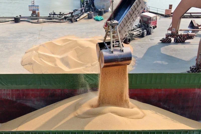 مكتب الحبوب والقطاني يحدث نظام للتعويض عن استيراد 20 مليون قنطار من القمح اللين