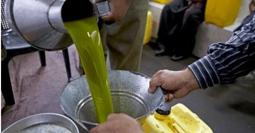 غلاء زيت الزيتون.. المنتجون يعددون الأسباب