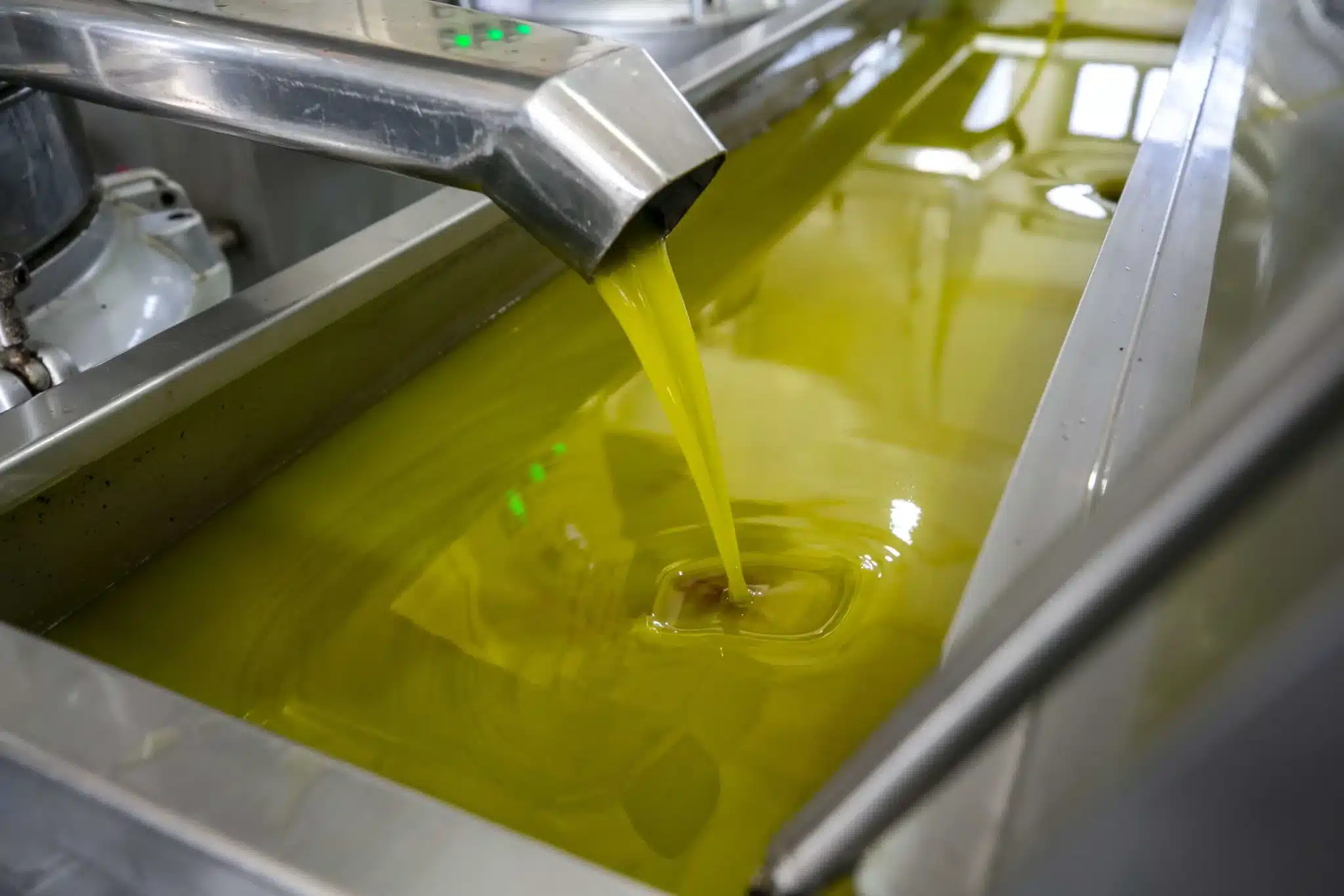 هذه أسباب ارتفاع صادرات زيت الزيتون رغم تراجع الإنتاج بالمغرب