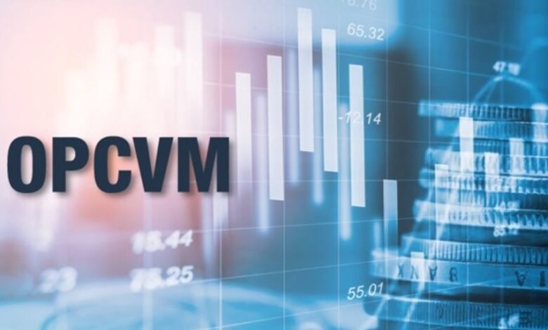 هيئات التوظيف الجماعي للقيم المنقولة: صافي الأصول يتجاوز 787 مليار درهم