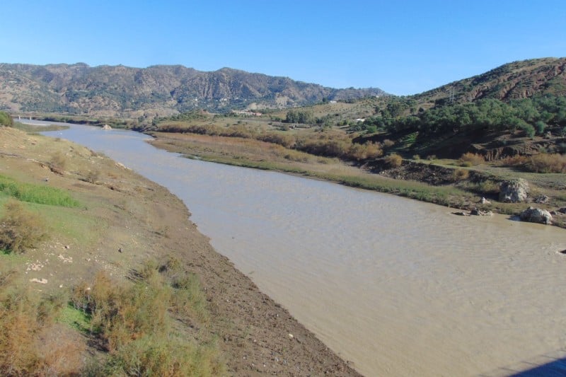 الأمطار تحسن الرصيد المائي وتنعش الزراعات الكبرى