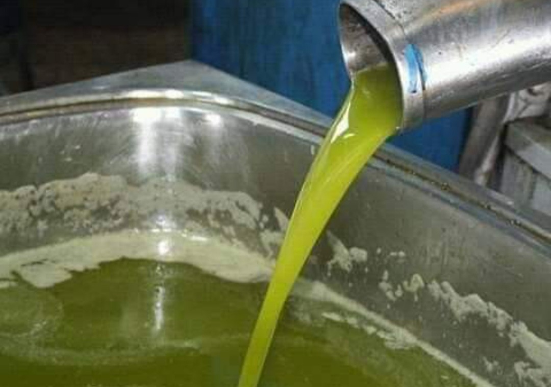 مهنيون لـ"اقتصادكم": سعر لتر زيت الزيتون سيتجاوز 90 درهما بسبب الجفاف والوسطاء