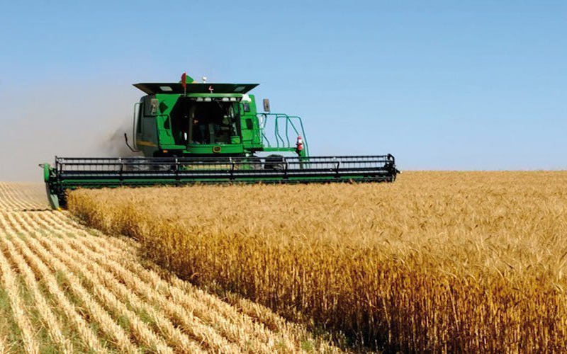 بنك المغرب: موسم فلاحي استثنائي يرفع النمو إلى 5,6% في 2026