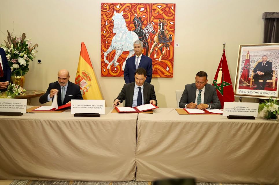 صديقي يشرف على توقيع عقد-برنامج جديد واتفاقيات لتنمية ودعم سلسلة الخيل