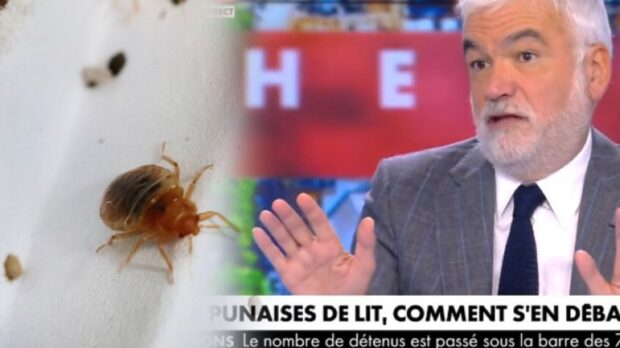 عنصرية.. سخط في فرنسا بسبب ربط صحفي انتشار حشرات “البق” بالمهاجرين السريين