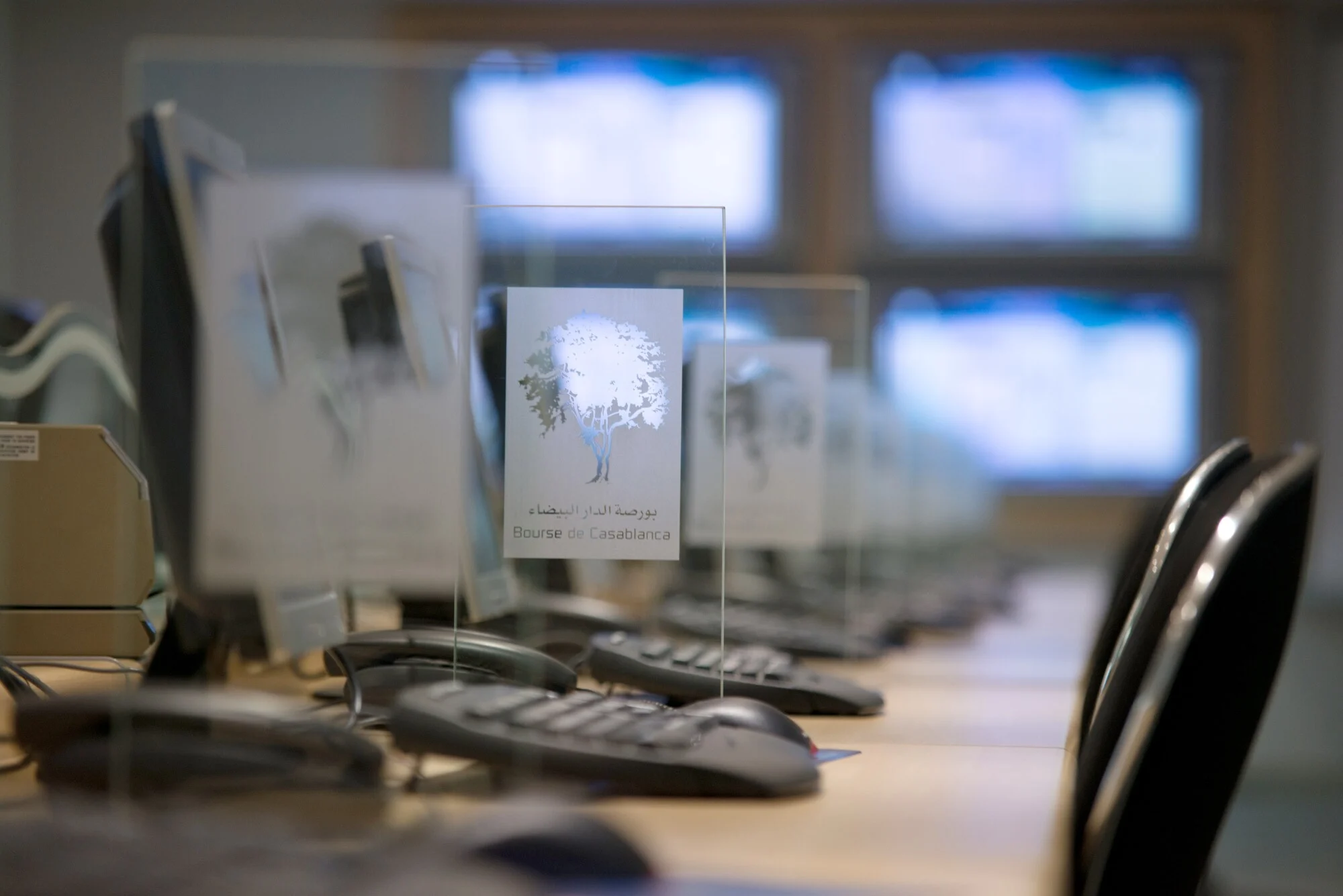 "فيني بروسيت" الأقوى ارتفاعا خلال أداء الأسبوع