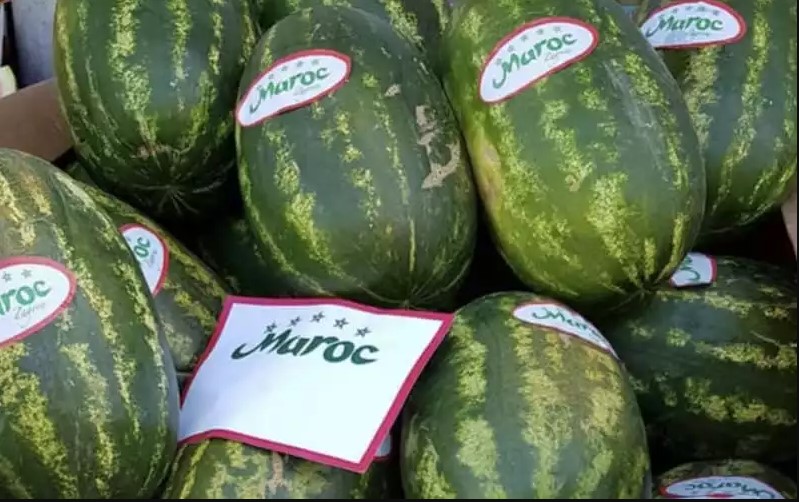 منتوج البطيخ المغربي يستحوذ على مبيعات السوق الفرنسية + إنفوغراف