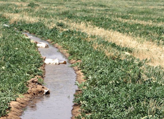 يهم الفلاحين: هذه مقاييس الأمطار المسجلة بمناطق المملكة المختلفة