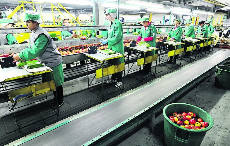 المعهد المغربي للذكاء الاستراتيجي يقترح خطة لتحقيق الأمن الغذائي بحلول 2030