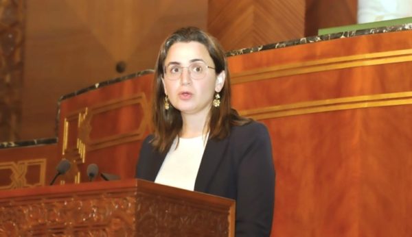 التعيين في المناصب العليا.. مزور تكشف ضمانات الشفافية