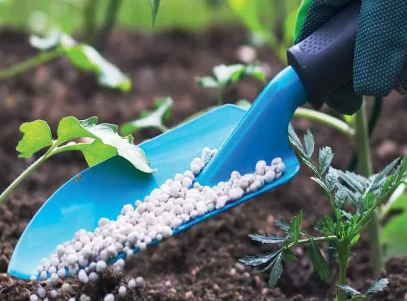 مجمع الفوسفاط يرفع مبيعات الأسمدة بأزيد من 2852 مليار