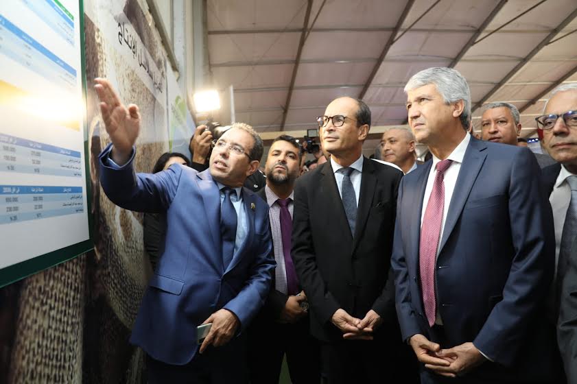 الأمن الغذائي يهيمن على أشغال افتتاح المعرض الوطني المهني للحبوب والقطاني
