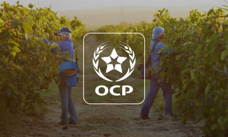 الأسمدة الفوسفاتية: OCP Nutricrops توقع مذكرة تفاهم لتحويل ثاني أكسيد الكربون (CO₂) المحتجز إلى حلول مستدامة