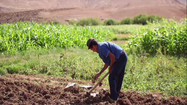 فيتش سولوشنز تتوقع خفض معدل نمو المغرب إلى 5%