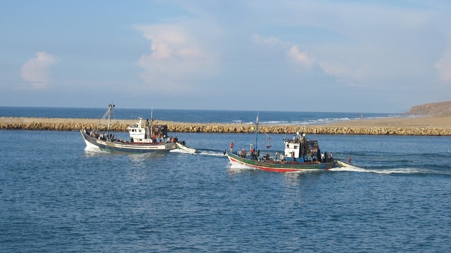 المغرب يحدث 8 محميات بحرية لحماية منظوماته البحرية والساحلية