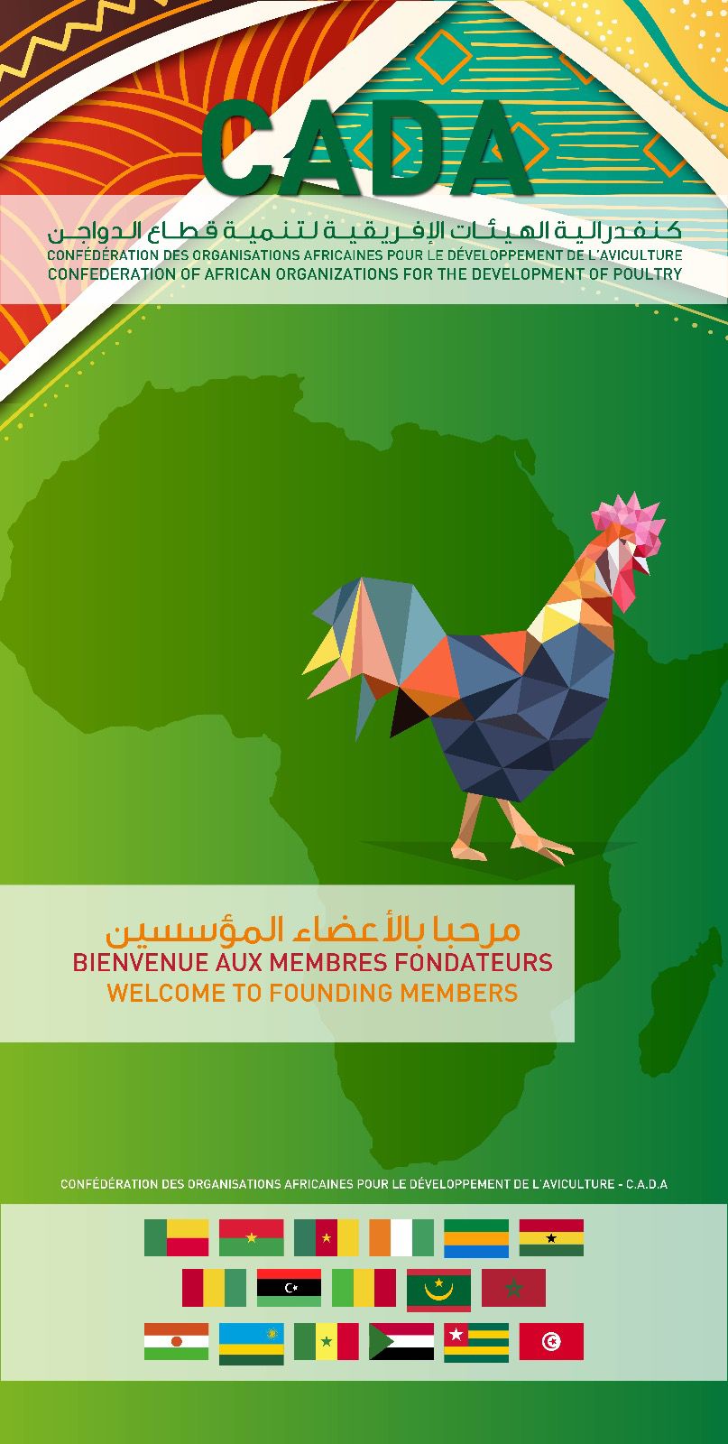 المغرب يؤسس كونفدرالية الهيآت الأفريقية لتنمية الدواجن ويحتضن مقرها الرئيسي