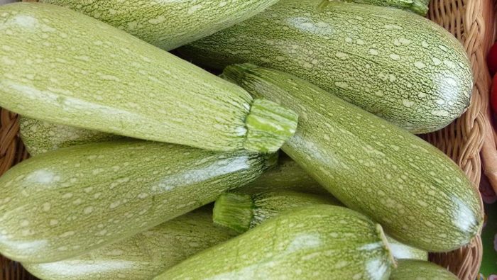 9 من كل 10 حبات "قرع" اشترتها إسبانيا جاءت من المغرب