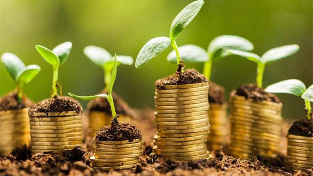 فرص الانتقال الأخضر بالمغرب تجذب مستثمرين أوربيين