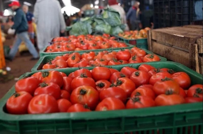 بالأرقام: تراجع مهم في أسعار الطماطم بأسواق البيضاء + إنفوغراف