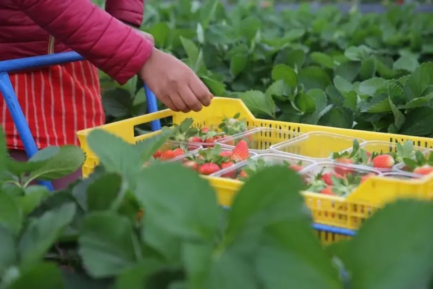 تقرير: اندماج متزايد للمغاربة في سوق العمل وتعزيز حضورهم في قطاعات حيوية