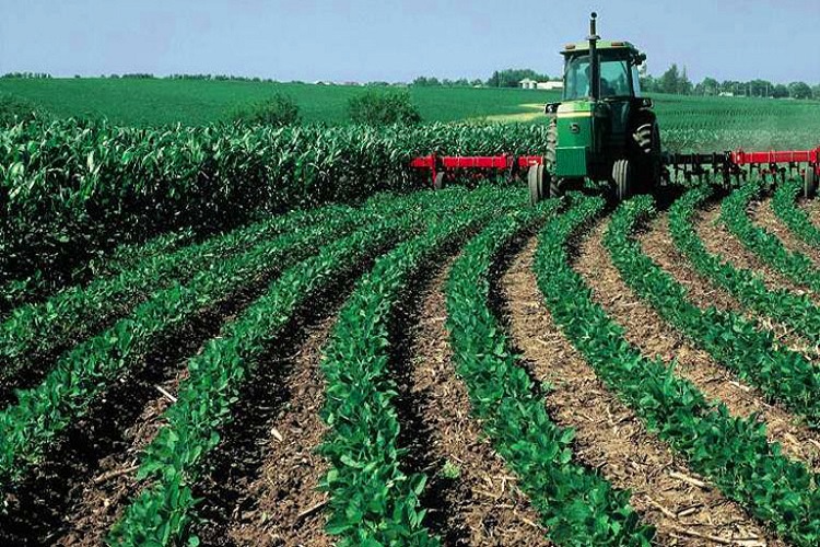 الفلاحة أكثر قطاع يوفر فرص شغل للشباب المغربي