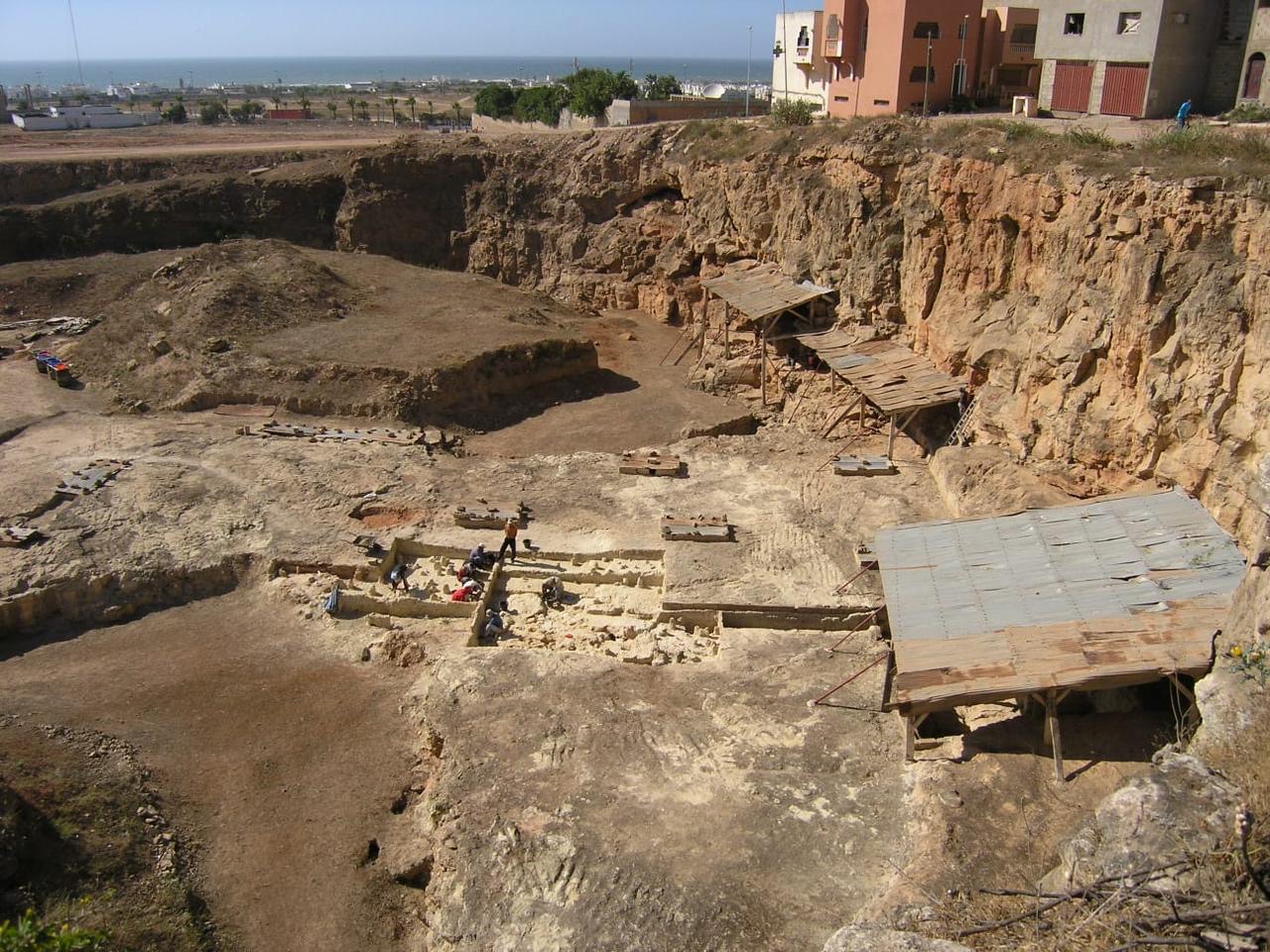 اكتشاف بقايا بشرية عمرها 773 ألف سنة بالدار البيضاء