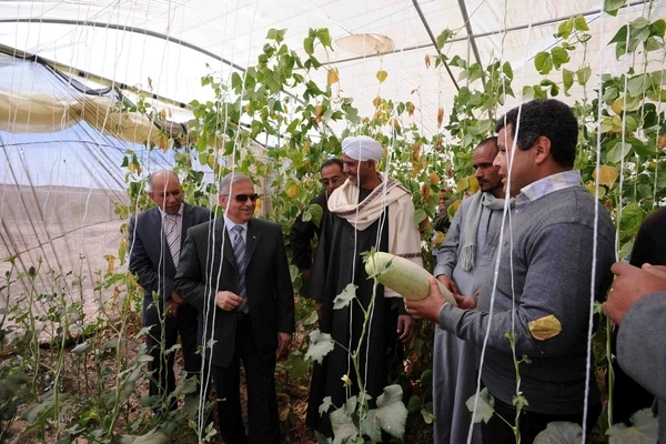 تعاون مغربي فلسطيني للتعاون في المجال الزراعي