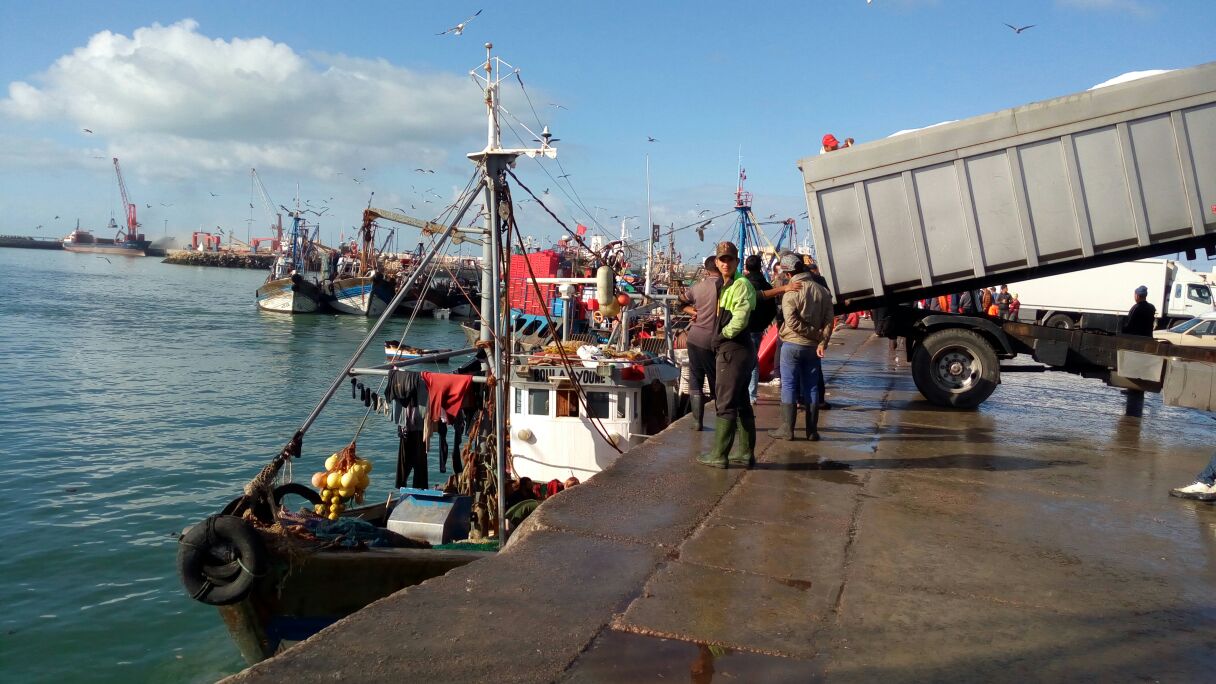 إجراءات صارمة بميناء العيون للحد من تهريب الأسماك