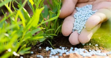 بنما تتجه إلى المغرب لتأمين إمداداتها من الأسمدة الزراعية