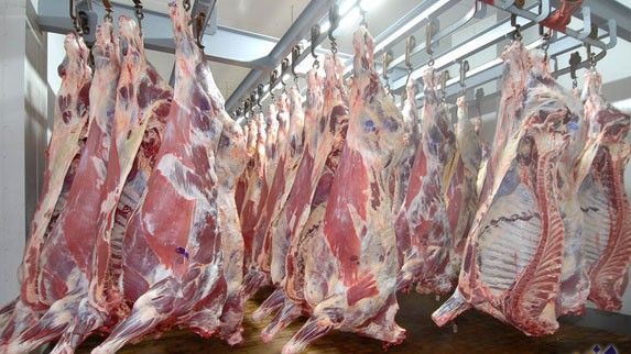 مجازر الدارالبيضاء تحظى بشهادة الجودة