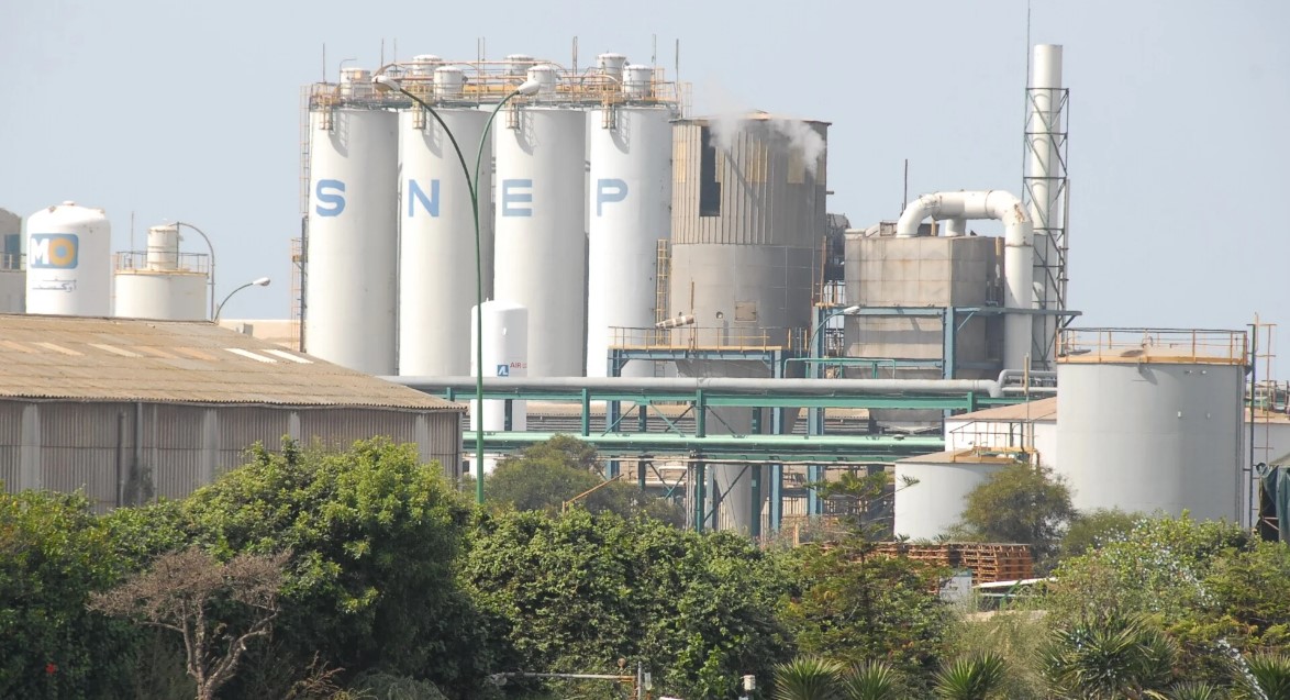 أرباح "سنيب" تتجاوز 6 ملايير