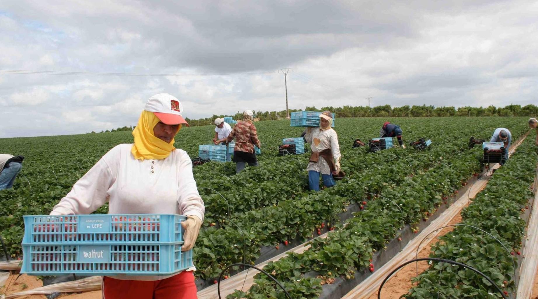 مجلس جماعة الدار البيضاء يصادق على مشروع اتفاقية إطار تتعلق بإحداث منصة تسويق للمنتجات الفلاحية والغذائية