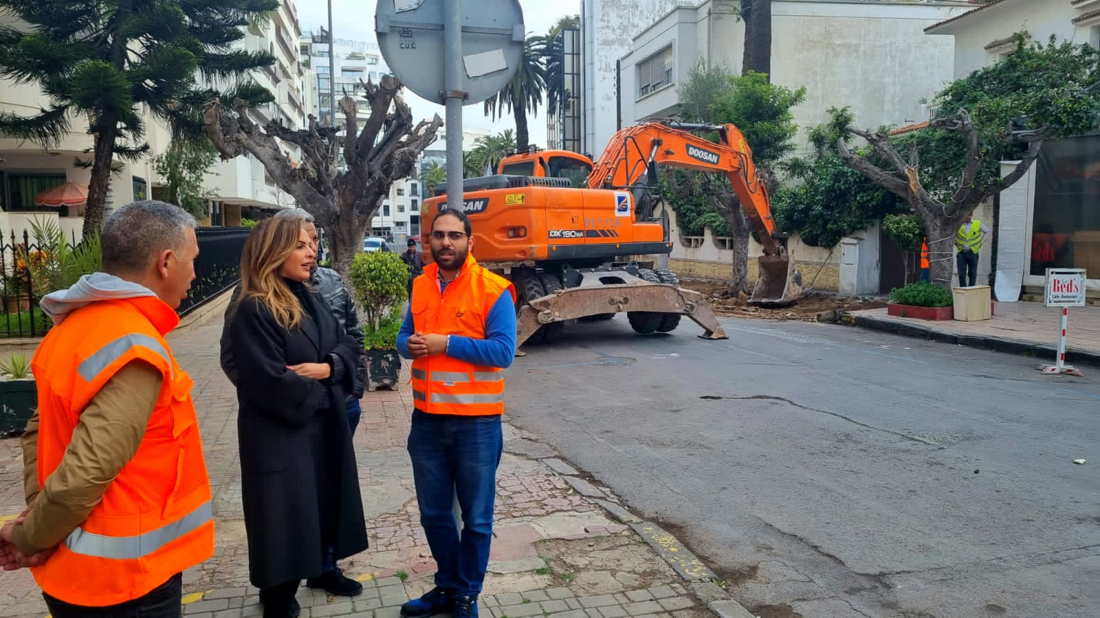 اقتلاع 132 شجرة.. مقاطعة سيدي بليوط تكشف الأسباب