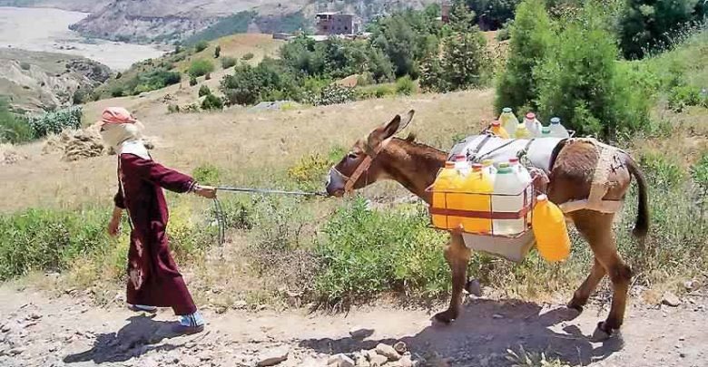 دراسة: الفوارق المجالية في العالم القروي ما تزال موجودة