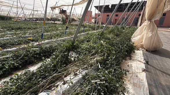 عاصفة سوس ماسة ترفع كلفة الإنتاج وتقلص صادرات الخضر