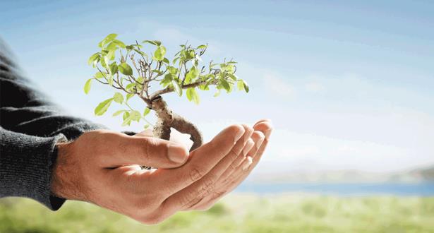 جائزة الحسن الثاني للبيئة.. انطلاق عملية التسجيل