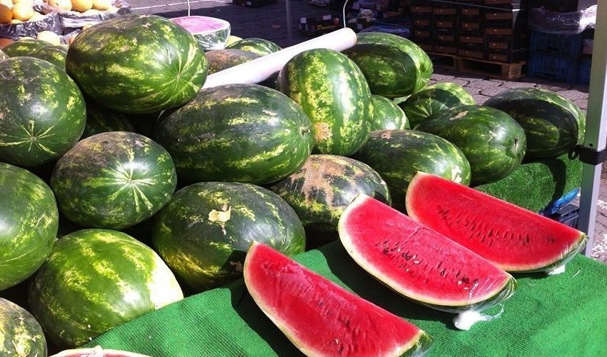 الدلاح الملوث .. "أونسا" تؤكد سلامة 95% من العينات