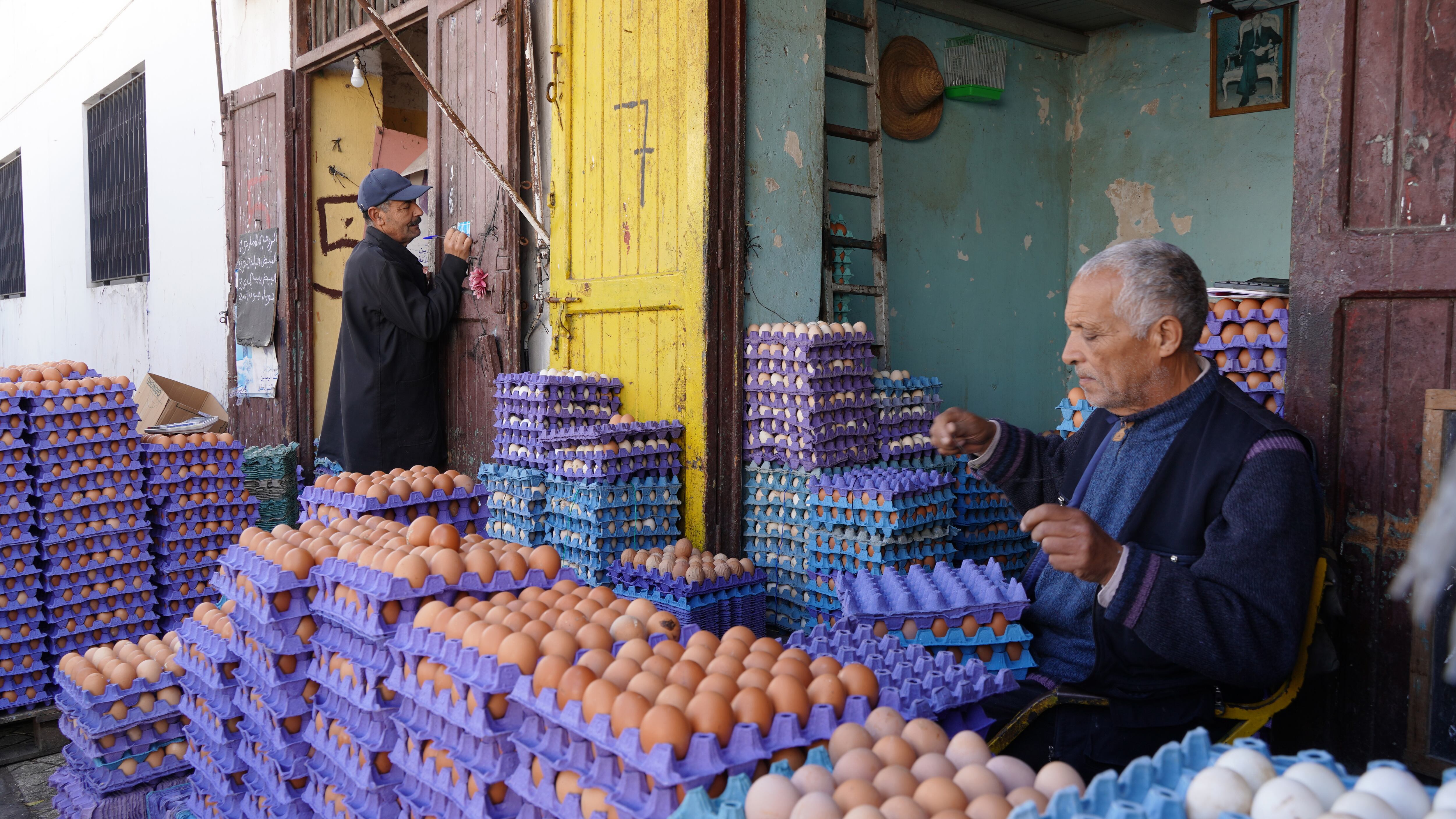 تحذيرات من فوضى في سوق البيض ودعوات لترقيم وتتبع العبوات لحماية المستهلك