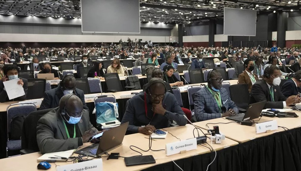 اتفاق عالمي تاريخي بشأن التنوع البيولوجي