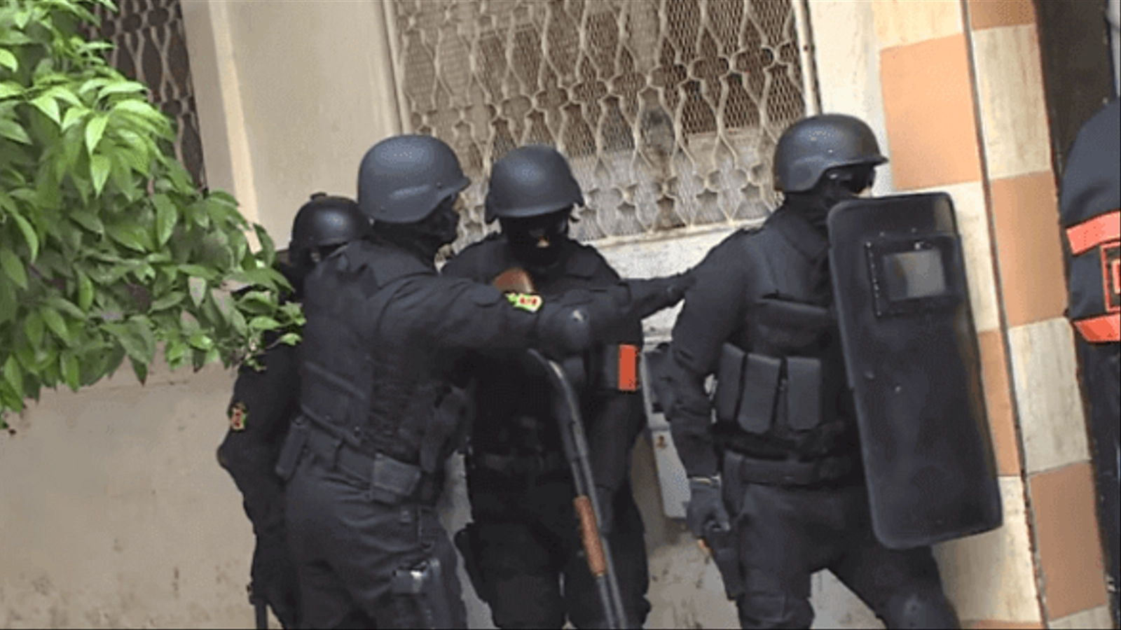 عاجل: "بسيج" يفكك خلية إرهابية موالية لـ"داعش"