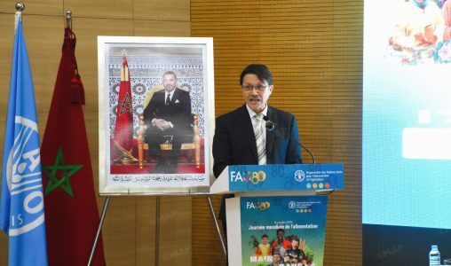 الفاو: المغرب يتوفر على إمكانات "مهمة" للنهوض بفلاحة مستدامة