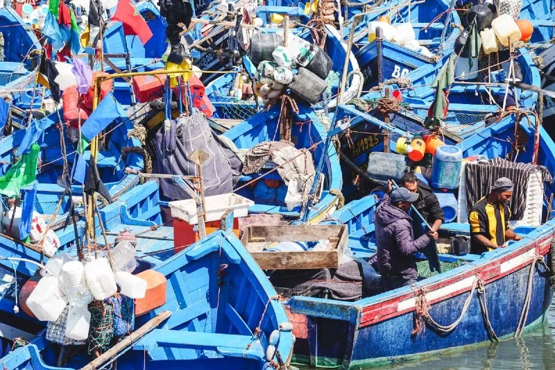 ميناء الصويرة يسجل ارتفاعا مهما في الكميات المفرغة من منتجات الصيد