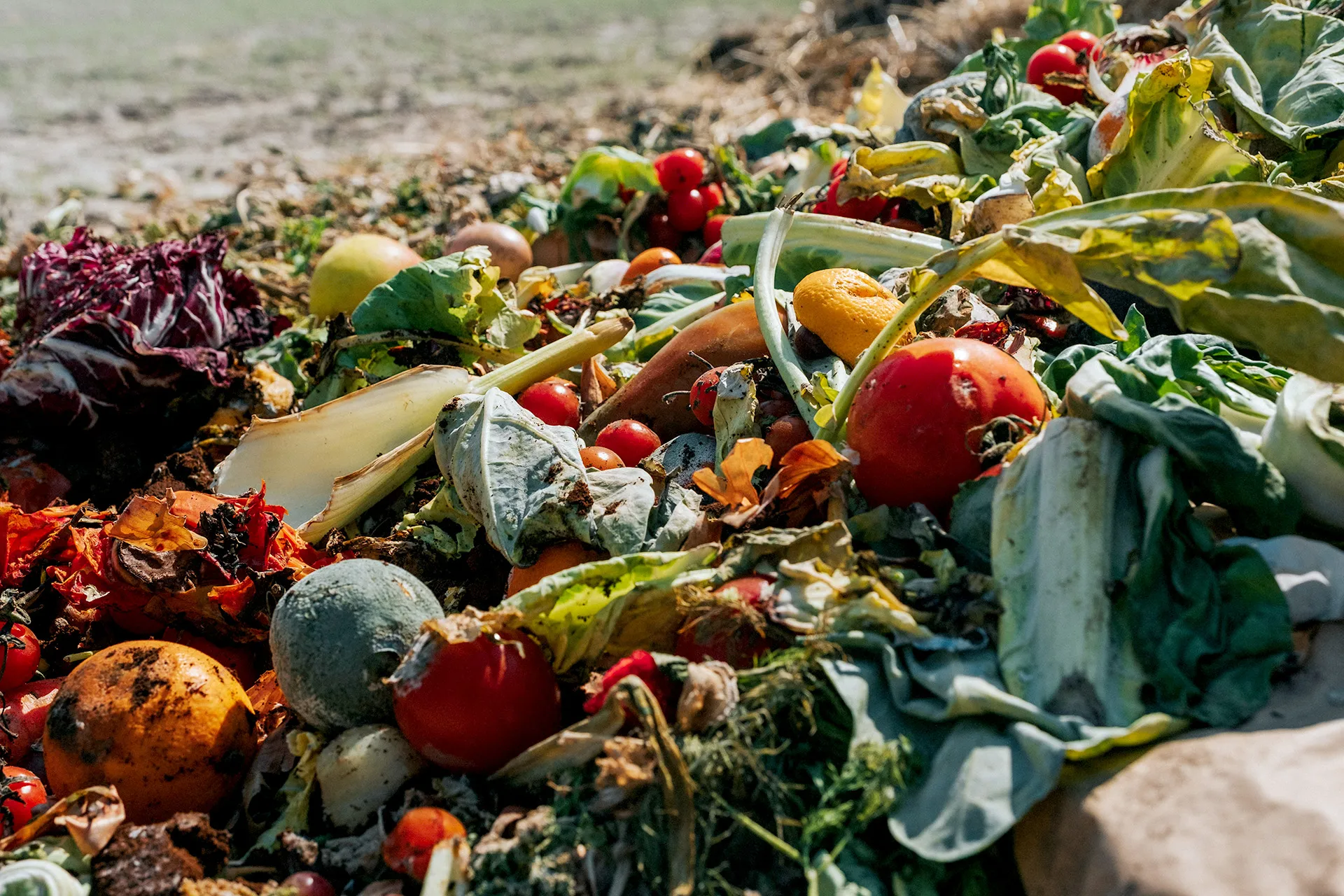 الهدر الغذائي في رمضان تحديات ومسؤوليات مشتركة
