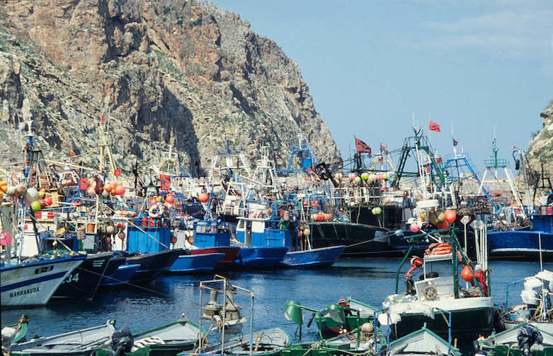 ميناء الحسيمة يسجل تراجعا في كميات وقيمة المصطادات البحرية