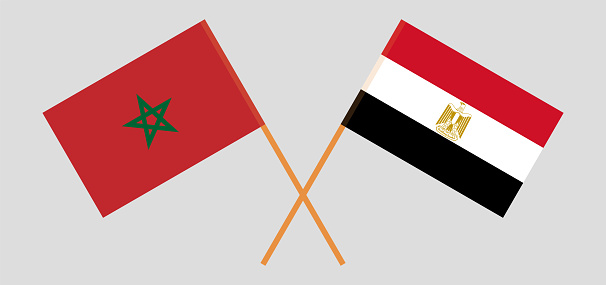 زيدان يؤكد متانة العلاقات المغربية المصرية وآفاقها الواعدة في الاستثمار والتعاون