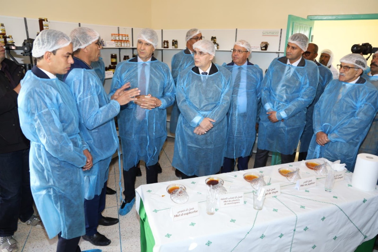 تعبئة 101 مليار لتنزيل مخطط "الجيل الأخضر" بورزازات