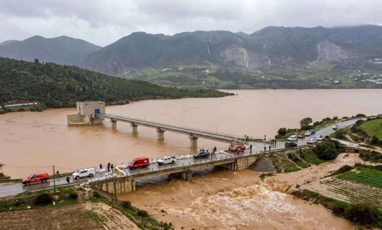 الحكومة تسرع تدابير إنعاش النشاط الفلاحي بعد الفيضانات